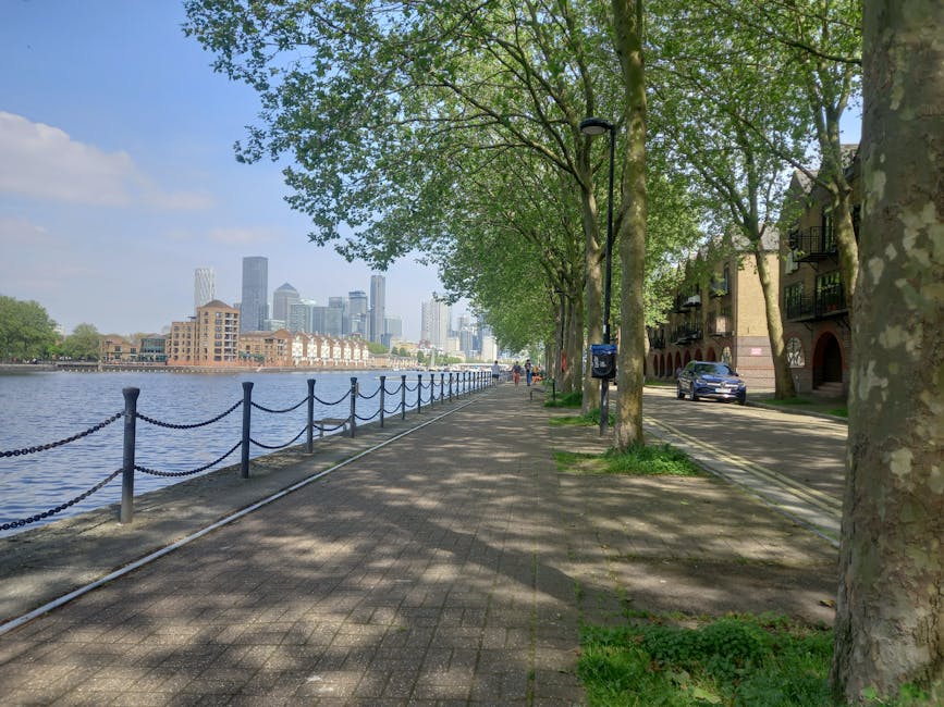 A riverside walkway lined with mature deciduous trees casting shadows on the pavement, with a metal chain fence separating it from the water. In the background, a modern city skyline with high-rise office buildings and residential towers is visible under a partly cloudy sky. On the right side of the image, there are residential buildings with balconies and a parked car on the adjacent street. The scene is during daytime with natural light, and the area appears to be a peaceful setting suitable for a home relocation or moving logistics context, with visible elements such as trees, pavement, and vehicles suggesting the process of packing and loading for a furniture transport or removals service by companies like Man With a Van Wapping.